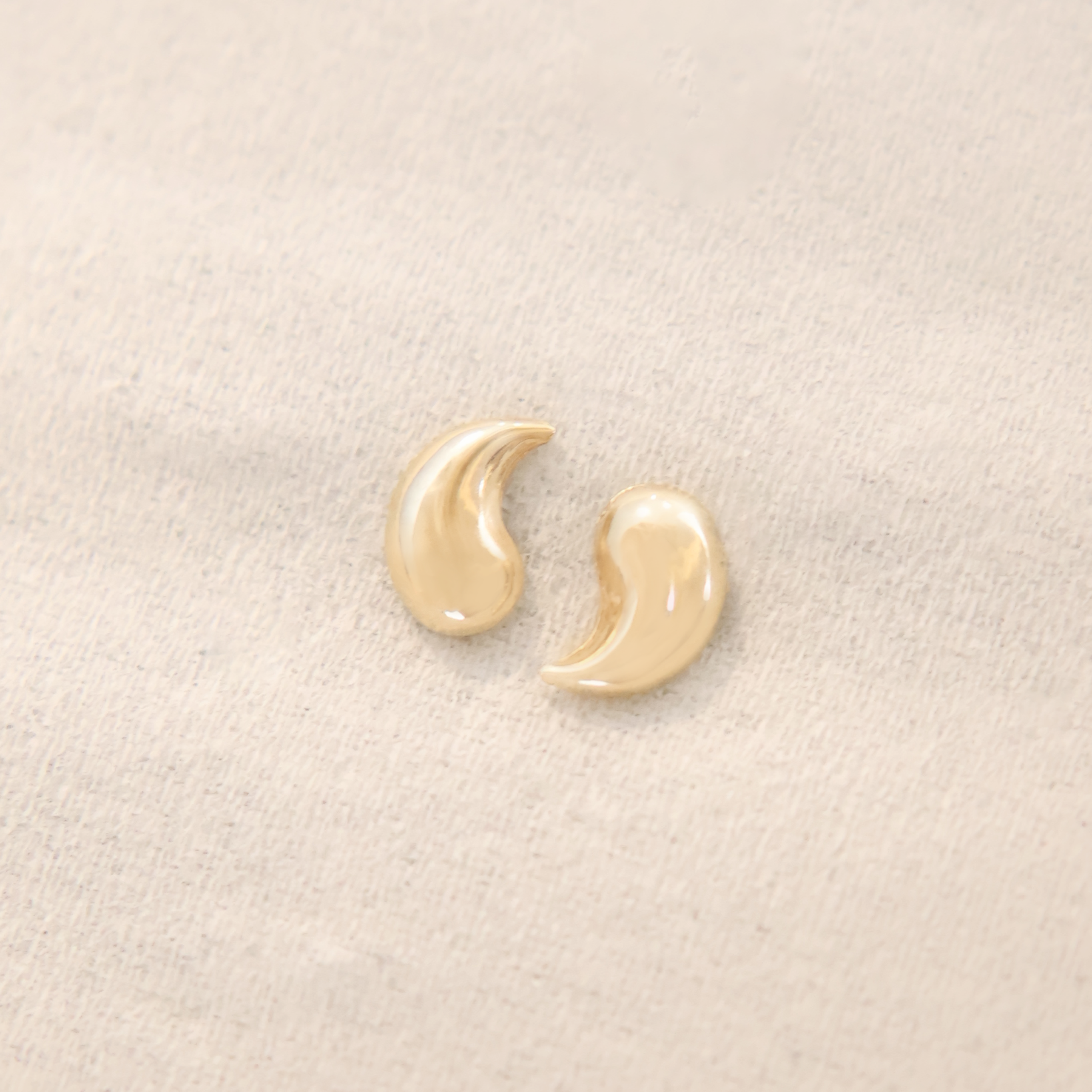 Aretes Koi * Oro Amarillo 14k