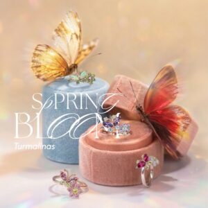 Spring Bloom