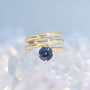 Anillo Gissel